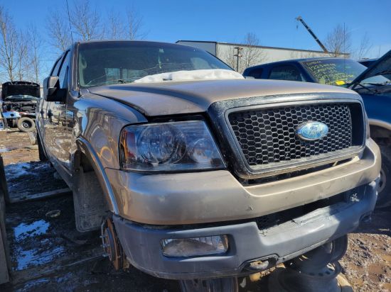 2004 FORD F-150