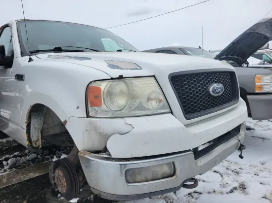 2004 FORD F-150