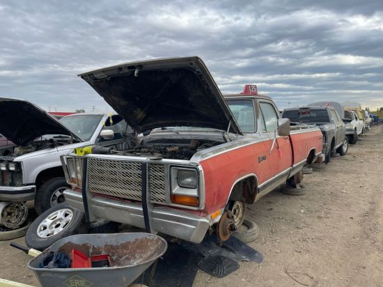 1984 DODGE D150 PICKUP