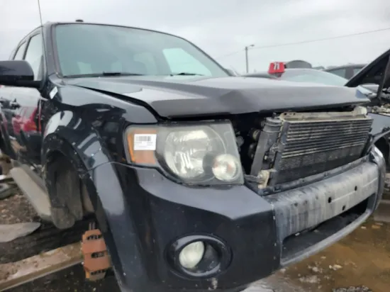 2010 FORD ESCAPE