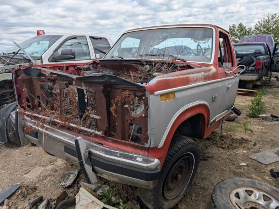 1980 FORD F-150