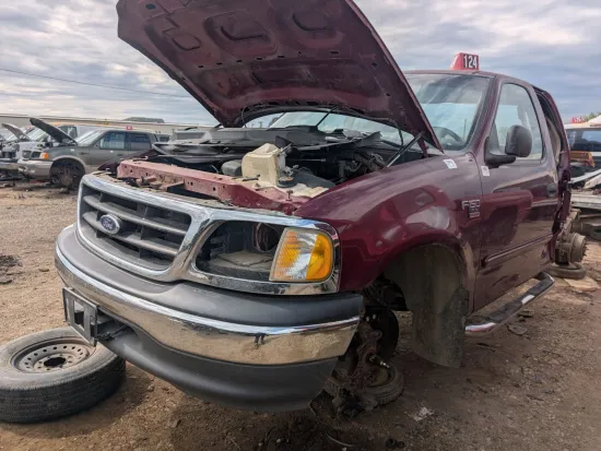 1999 FORD F-150