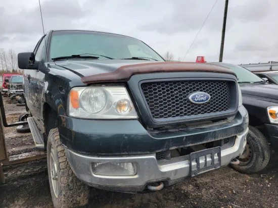 2005 FORD F-150
