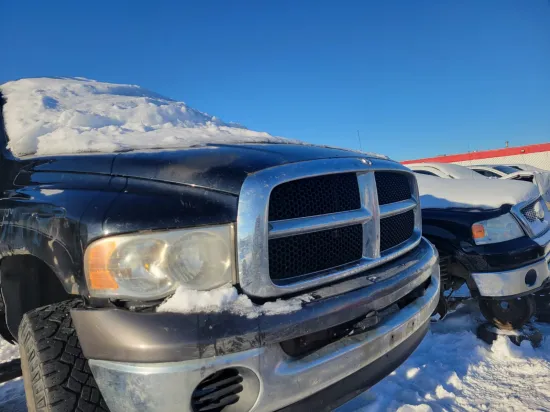 2004 DODGE RAM PICKUP