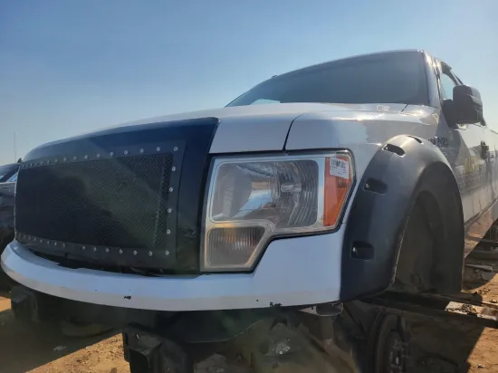 2009 FORD F-150