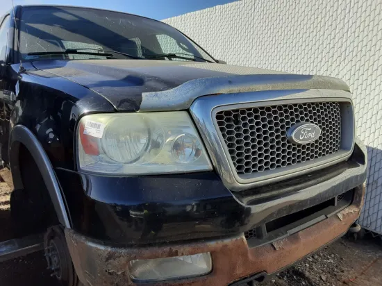 2004 FORD F-150