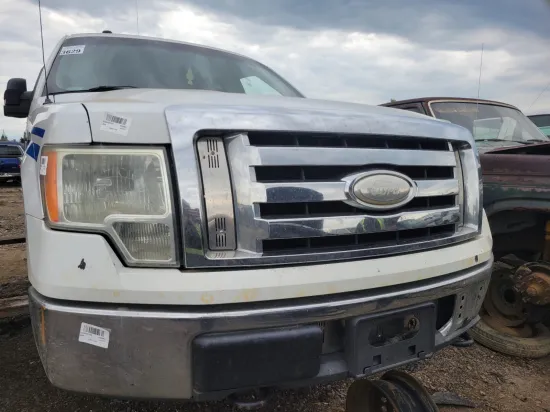 2009 FORD F-150