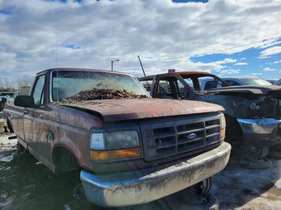 1995 FORD F-150