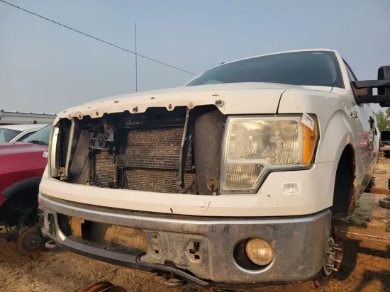 2010 FORD F-150