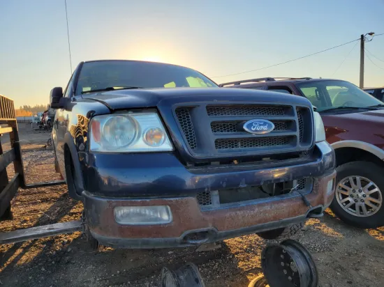 2004 FORD F-150