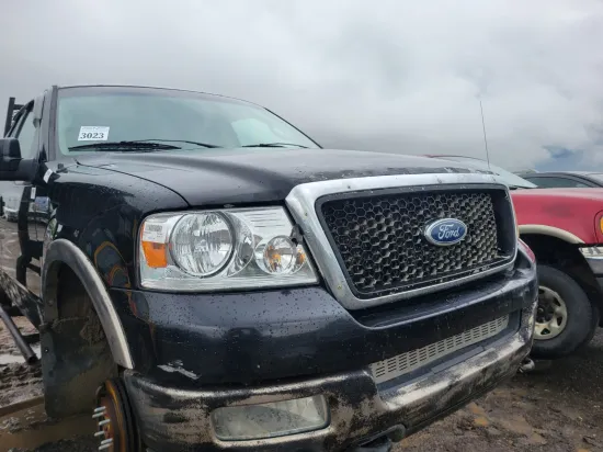 2004 FORD F-150