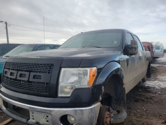 2010 FORD F-150
