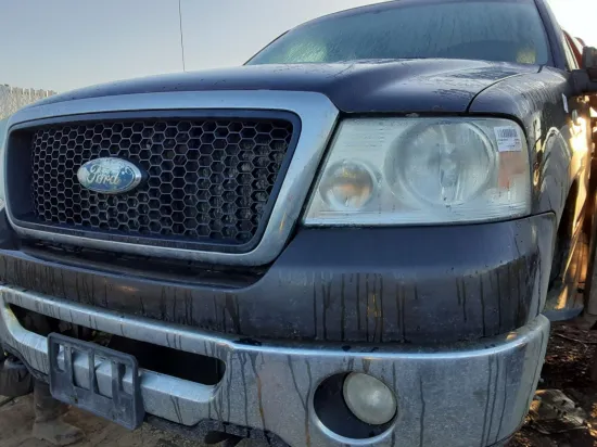 2007 FORD F-150