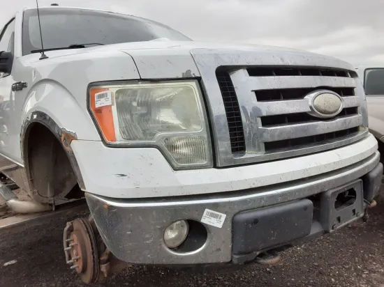 2009 FORD F-150