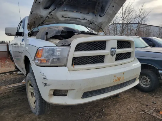 2009 DODGE RAM PICKUP