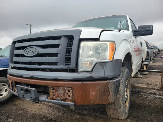 2010 FORD F-150
