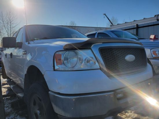 2007 FORD F-150