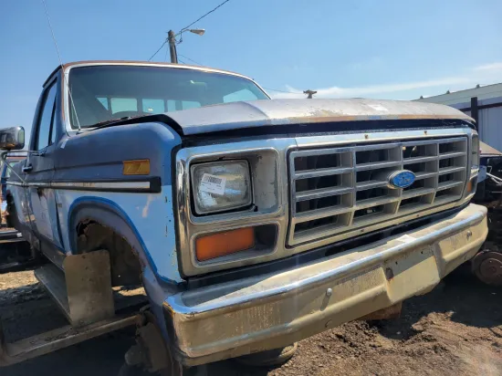 1985 FORD F-150