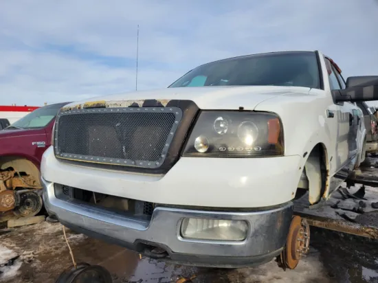 2005 FORD F-150