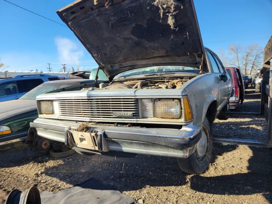 1981 CHEVROLET MALIBU