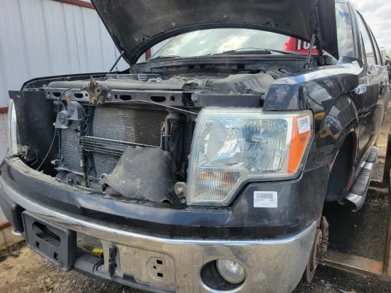 2010 FORD F-150
