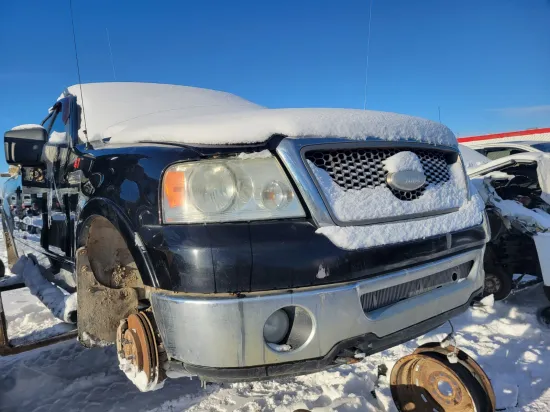2007 FORD F-150
