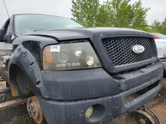 2007 FORD F-150