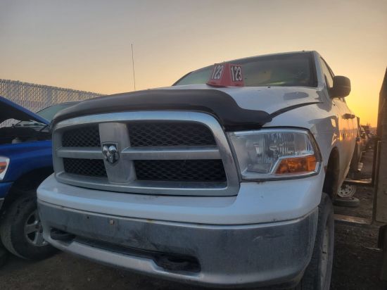 2010 DODGE RAM PICKUP