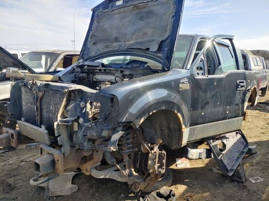2007 FORD F-150
